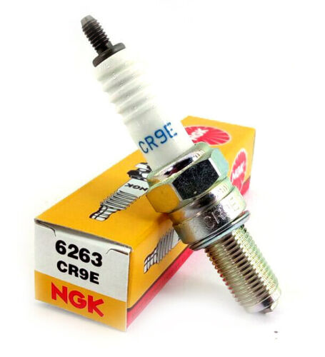 NGK Spark Plug