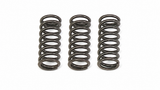 HRC Clutch Springs - Honda CBR1000RR-R SP (SC82)